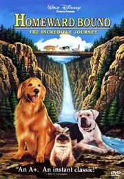 Homeward Bound:The Incredible Journey (1993)