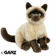 Signature Siamese Cat