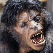 David Kessler (An American Werewolf in London, 1981)