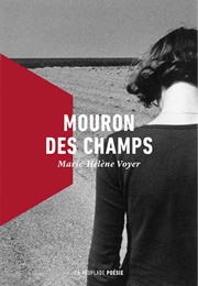 Mouron Des Champs (Marie-Hélène Voyer)