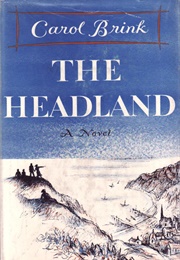 The Headland (Carol Brink)