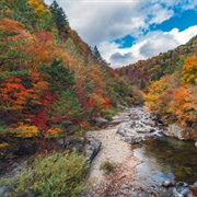 Odaesan National Park