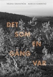 Det Som En Gång Var (What Once Was) (Helena Granström)