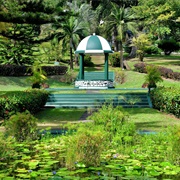 St Vincent and the Grenadines Botanic Gardens, Kingstown