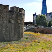 Superbloom, Tower of London