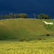 North Wessex Downs