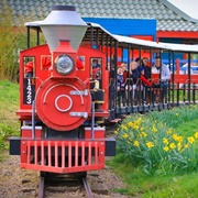 Iron Moose Express, Twinlakes Park