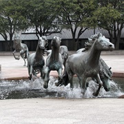 Mustangs by Robert Glen, Las Colinas, Texas