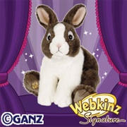 Signature Dutch Bunny