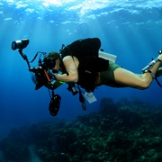 Underwater Photography