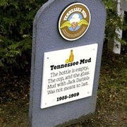 Ben & Jerry's Tennessee Mud