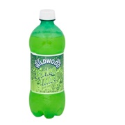 Wildwood Spring Mist