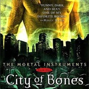 Shadowhunter Chronicles