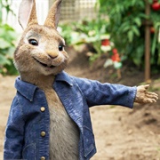 Peter Rabbit (The Tale of Peter Rabbit)