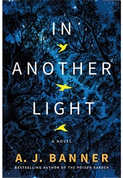 In Another Light (A.J. Banner)