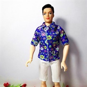 Fasion Doll Boy