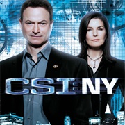 Csi: NY (2004 - 2013)