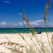 Dr. Julian G. Bruce St. George Island State Park