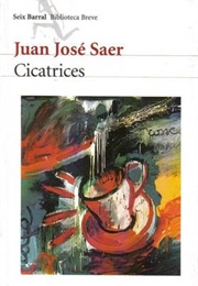 Cicatrices (Juan Jose Saer)