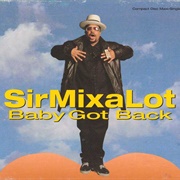 Sir Mix-A-Lot - Baby Got Back (1992)