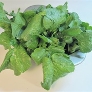 Radish Greens