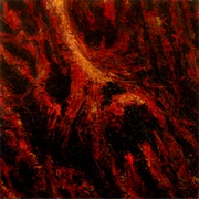 Hrůza Zvítězí (Kostnatění, 2019)