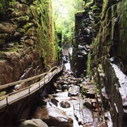 Flume Gorge, New Hampshire, USA