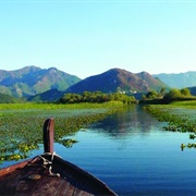 Lake Skadar Montenegro / Albania