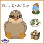 Fluffy Speckled Chick