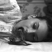 Twin Peaks: The Return: "Part 8" (S1,E8)