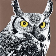 Sangre De Muérdago (Sangre De Muérdago, 2010)