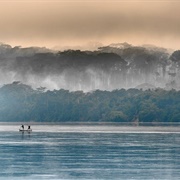 Salonga National Park, DRC