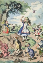 Alice in Wonderland & Through the Looking Glass (Lewis Carroll)
