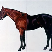 Half-Brothers (Exit to Nowhere—Machiavellian) (Mark Wallinger)