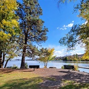 Veterans Memorial Park