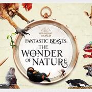 Fantastic Beasts: The Wonder of Nature, Toronto