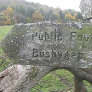 Bushygap, Northumberland, UK