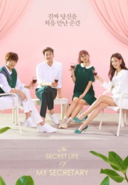 The Secret Life of My Secretary (2019)
