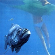 Piranhas (Piranha, 1978)