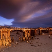 Navy Beach, Mono Lake