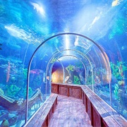 Aquamundo Sambil, Santo Domingo, Dominican Republic