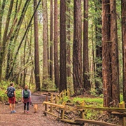 Redwood Regional Park