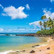 Laniakea Beach