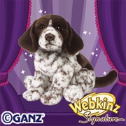 Signature German Shorthaired Pointer