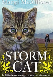 Storm Cat (Margi McAllister)