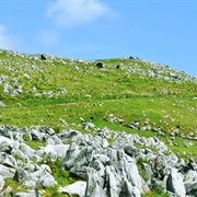 Shikoku Karst Natural Park, Kochi