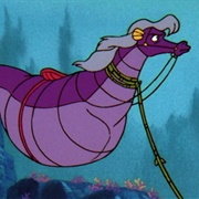 Stormy the Giant Seahorse