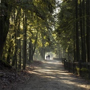 Traboulay Poco Trail, Port Coquitlam, BC, Canada