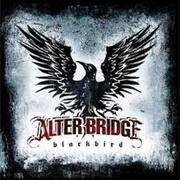 Alterbridge-Blackbird