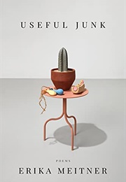 Useful Junk (Erika Meitner)